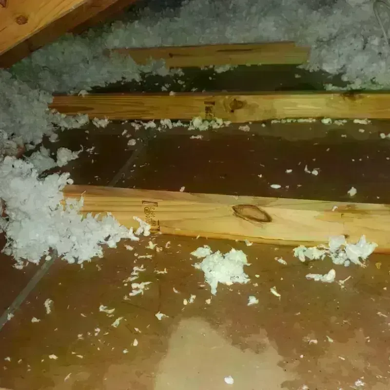 Attic Water Damage in North Amherst, MA