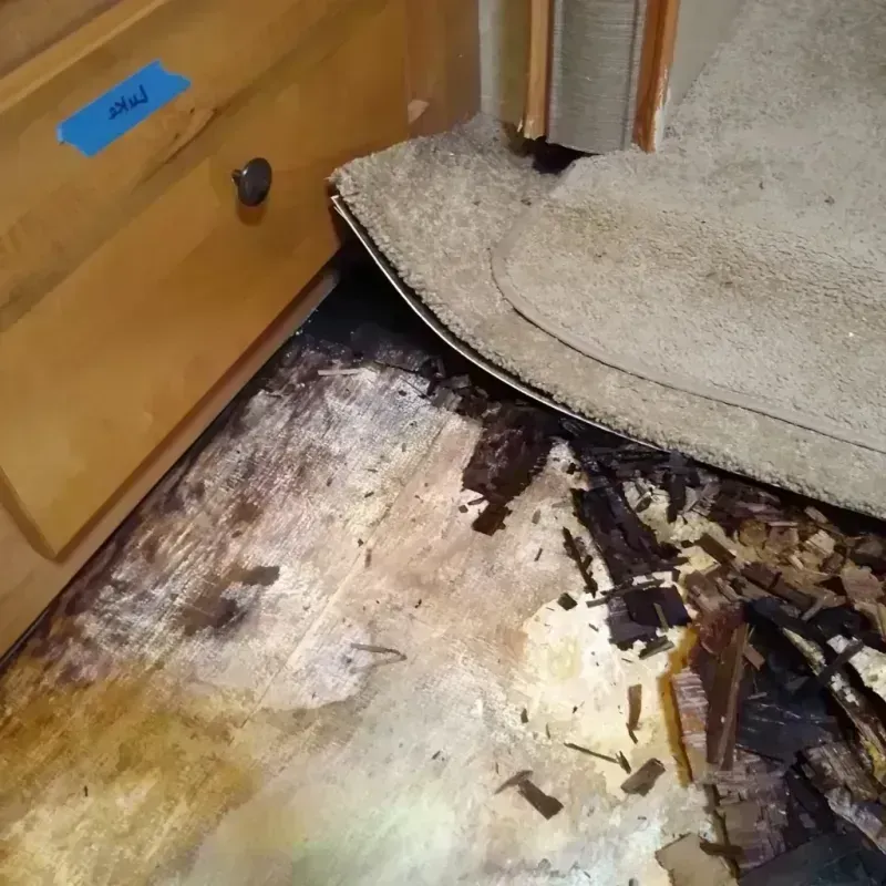 Best Wood Floor Water Damage Service in North Amherst, MA